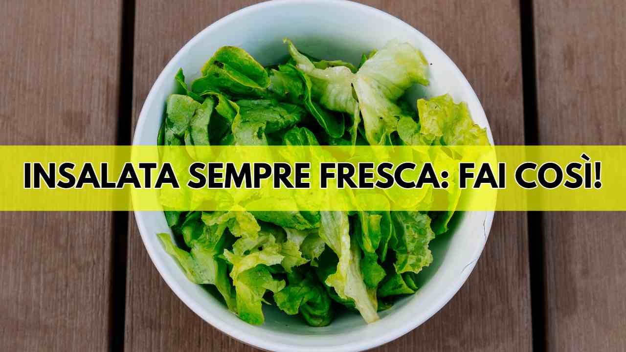 Insalata fresca