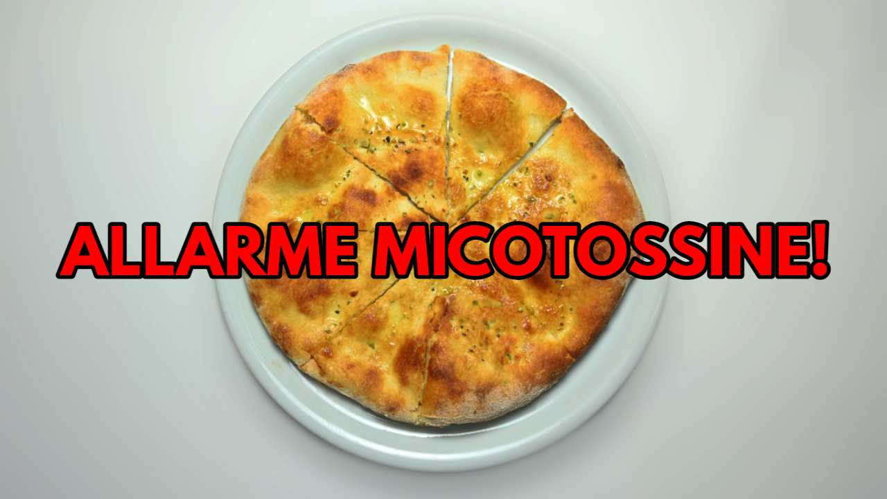 Focaccia: allarme micotossine